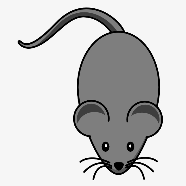 413-4138905_cute-mouse-clipart-lab-mouse-clip-art